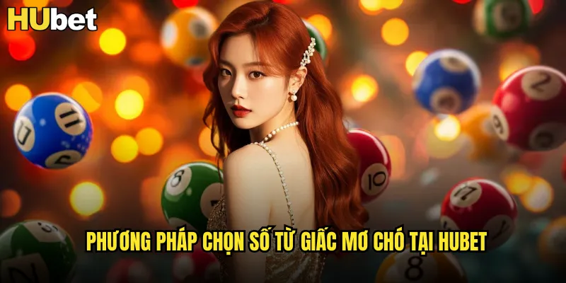 Phương pháp chọn số từ giấc mơ chó tại HUBET